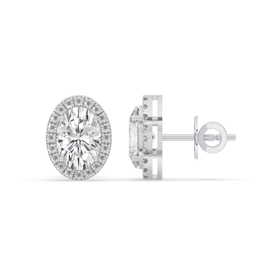 Oval Halo Stud Earrings