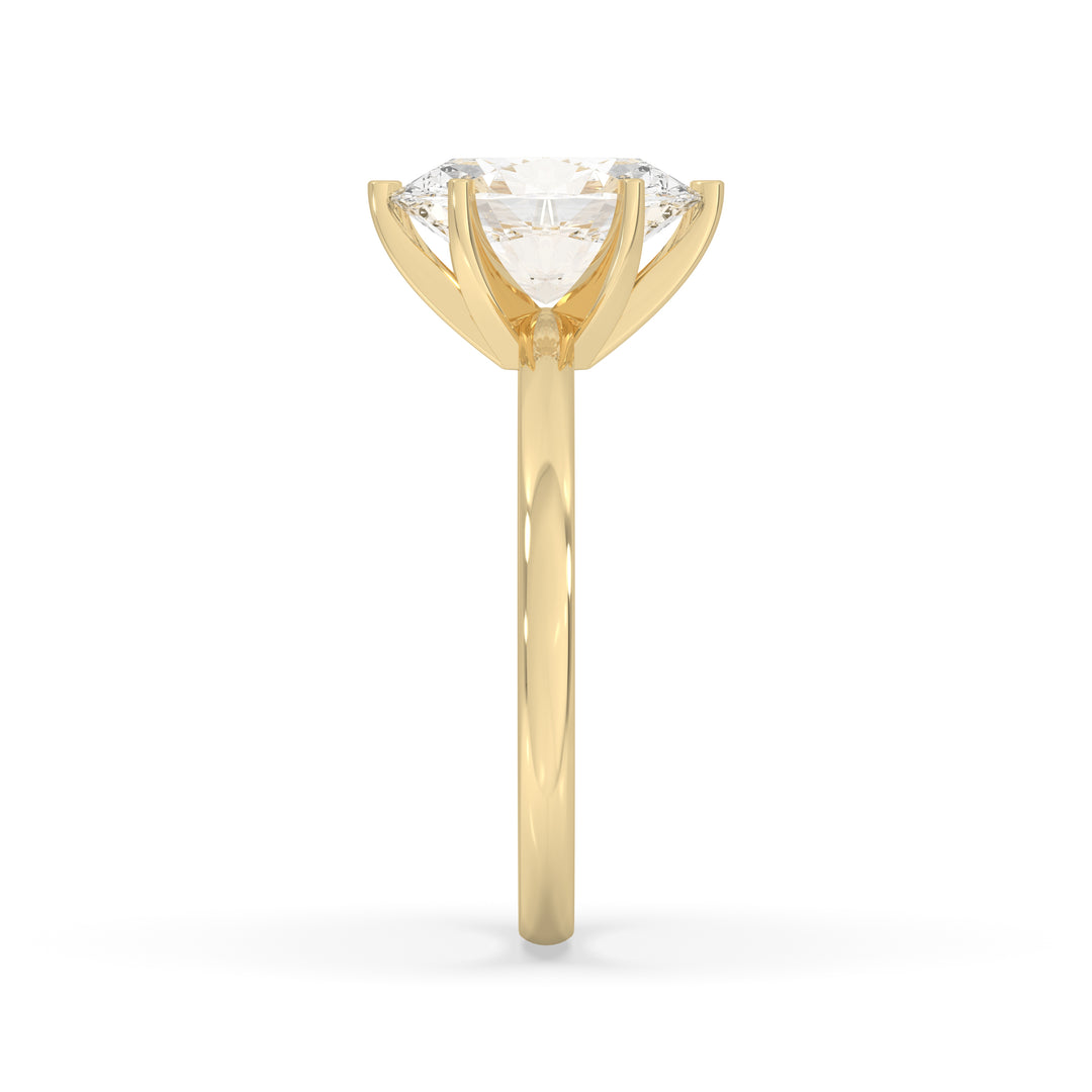 Oval Thick Band 6 Prongs