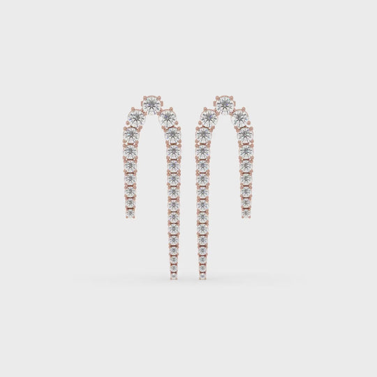 Fancy Drop Earrings