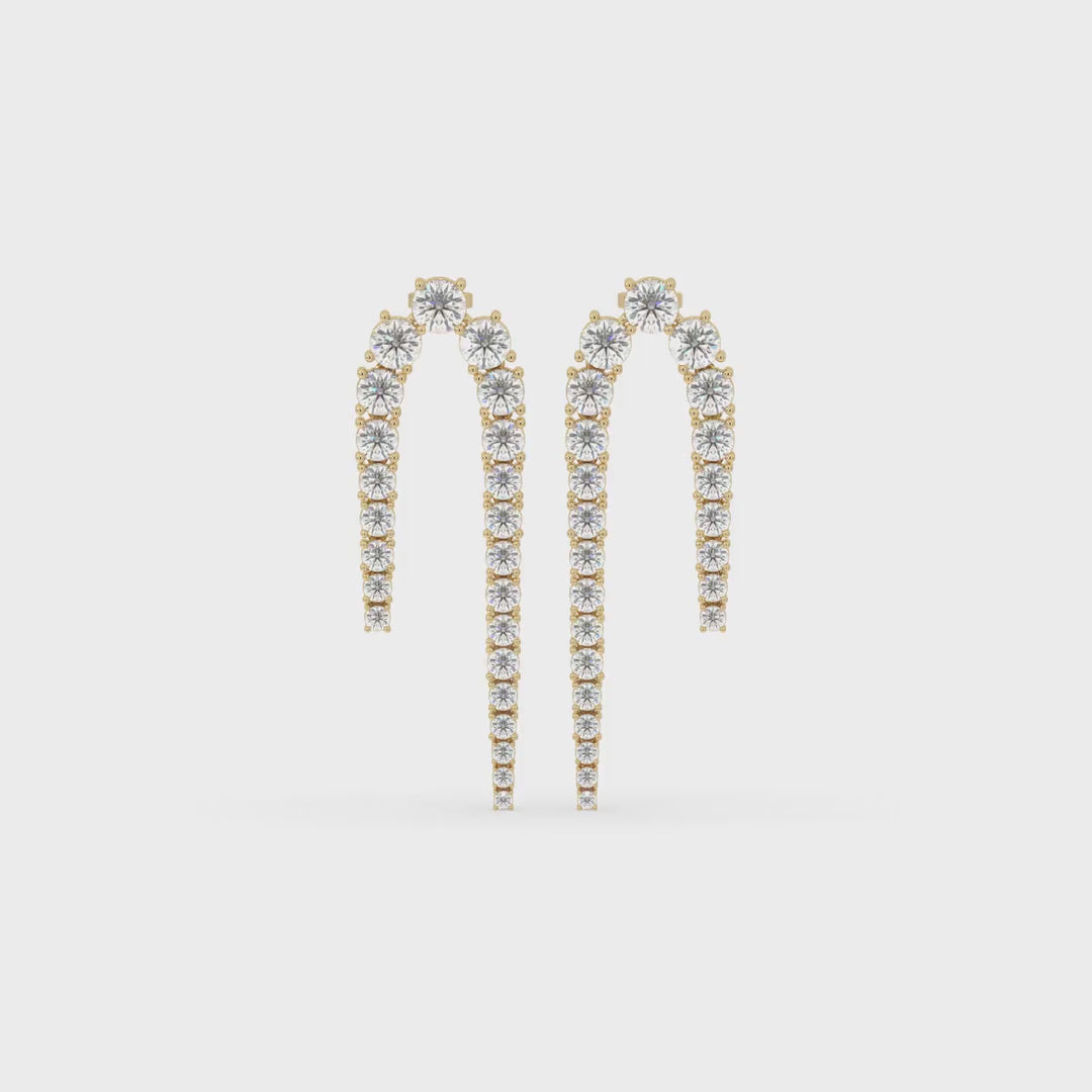Fancy Drop Earrings