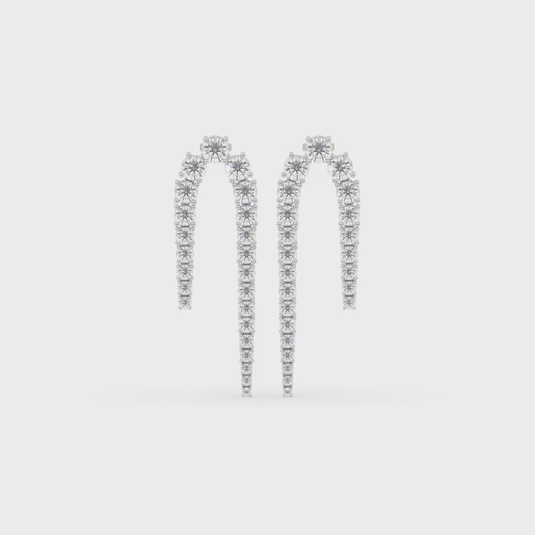 Fancy Drop Earrings